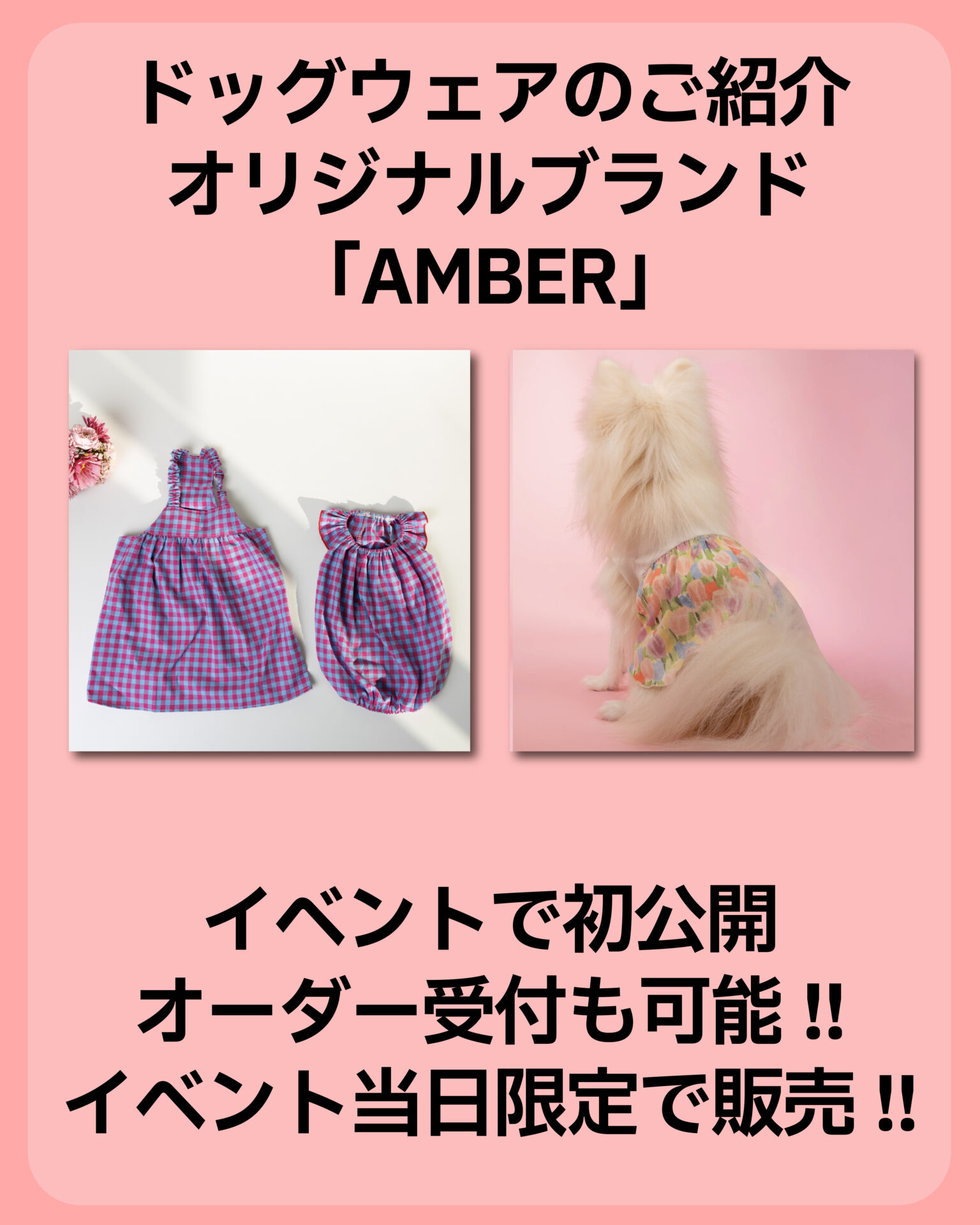 オリジナルブランド AMBER ドッグウェア